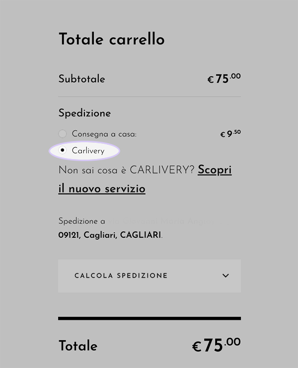 Carlivery di CarlottinaLab